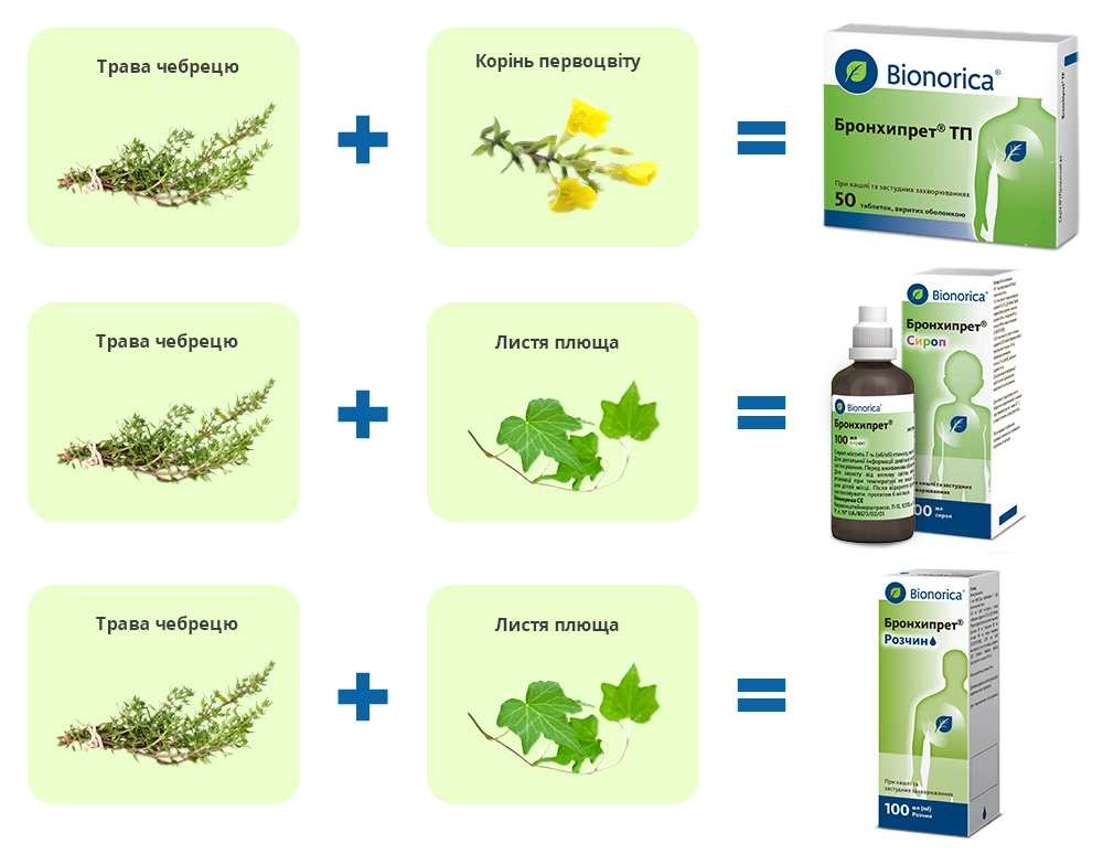 Трава чебрецю, корінь первоцвіту, листя плюща