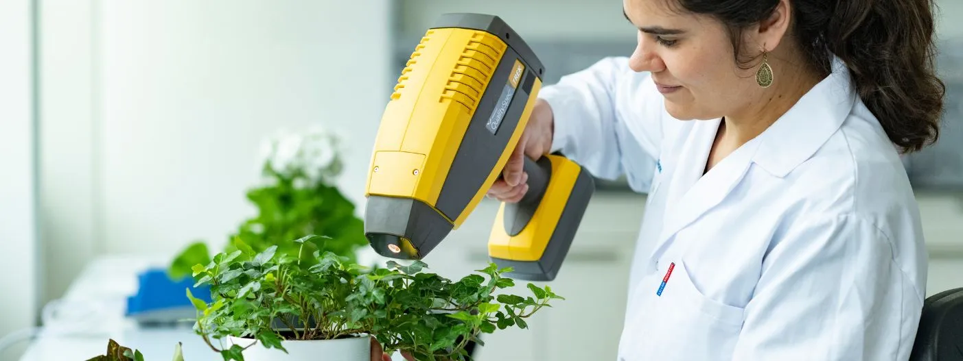 Bionorica Research Pflanze