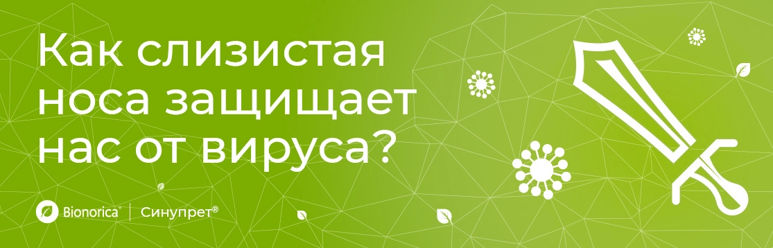 Как слизистая носа защищает нас от вируса?