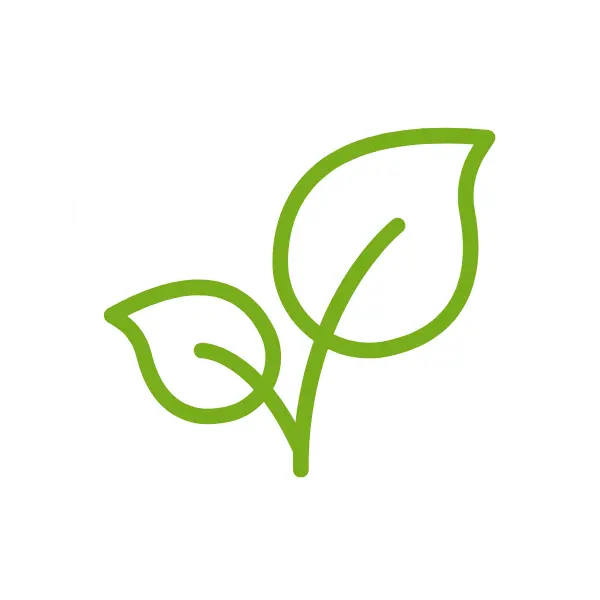 Grafik einer Pflanze in grün auf weissem Hintergrund