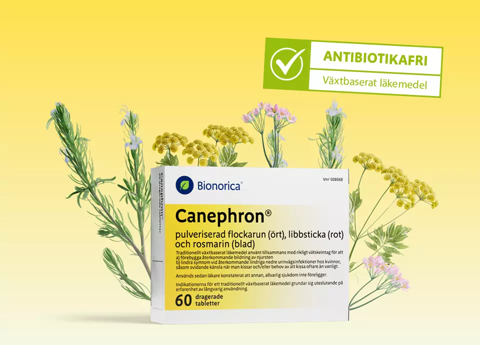 start-CM11-desktop-960x690