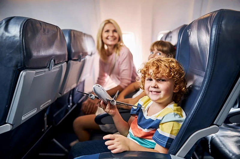 СИН правила перелета