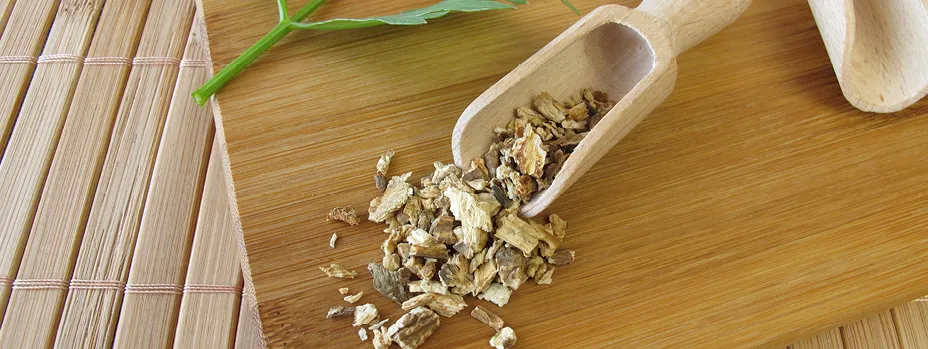 Getrocknete Wurzel des Liebstöckels.