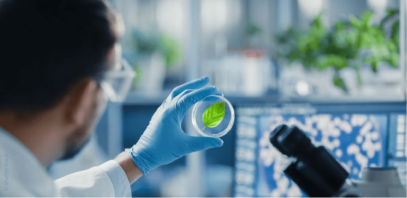 Atemwegsinfekte: zwischen Abwarten und Antibiotikum