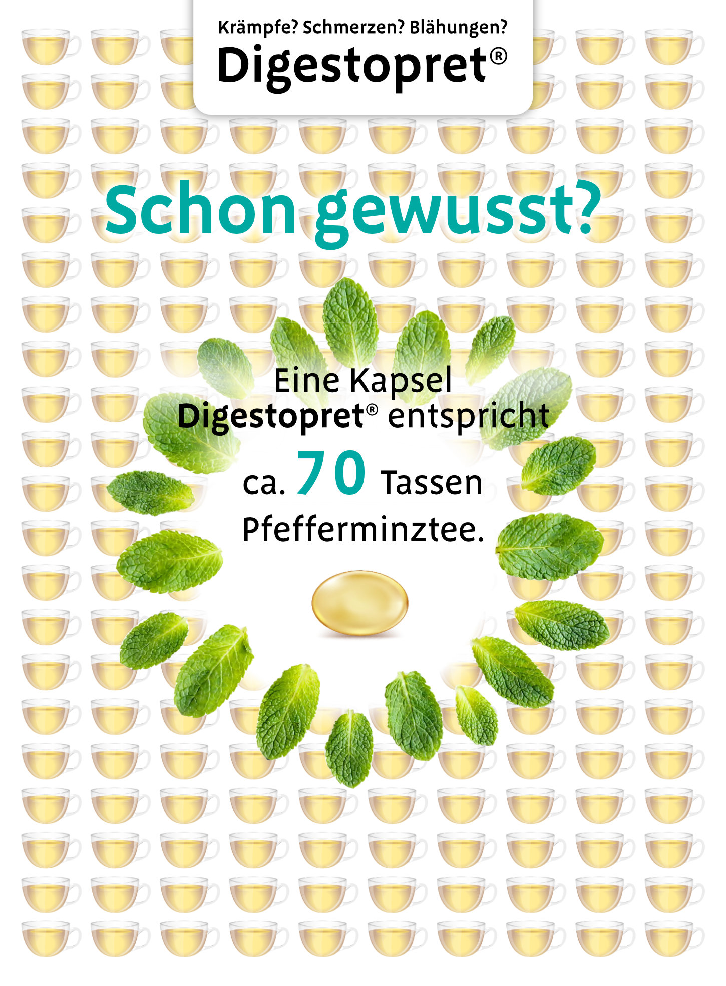 Digestopret Kapsel ist gleichzusetzen mit 70 Tassen Pfefferminztee_ Bauchschmerzen und Bauchkrämpfe: mögliche Behandlung