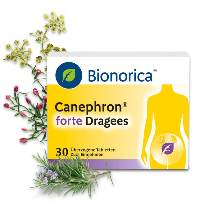 Packshot Canephron® forte mit Pflanzen