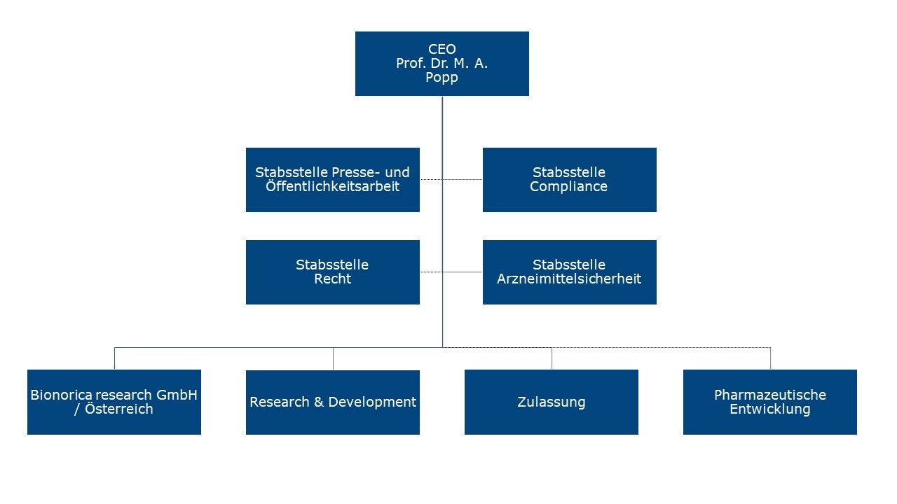 Organisationsstruktur Vorstandsvorsitz