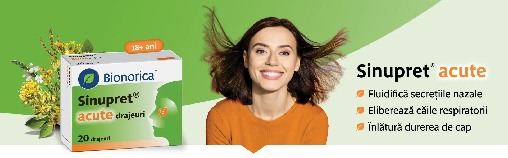 Sinupret acute