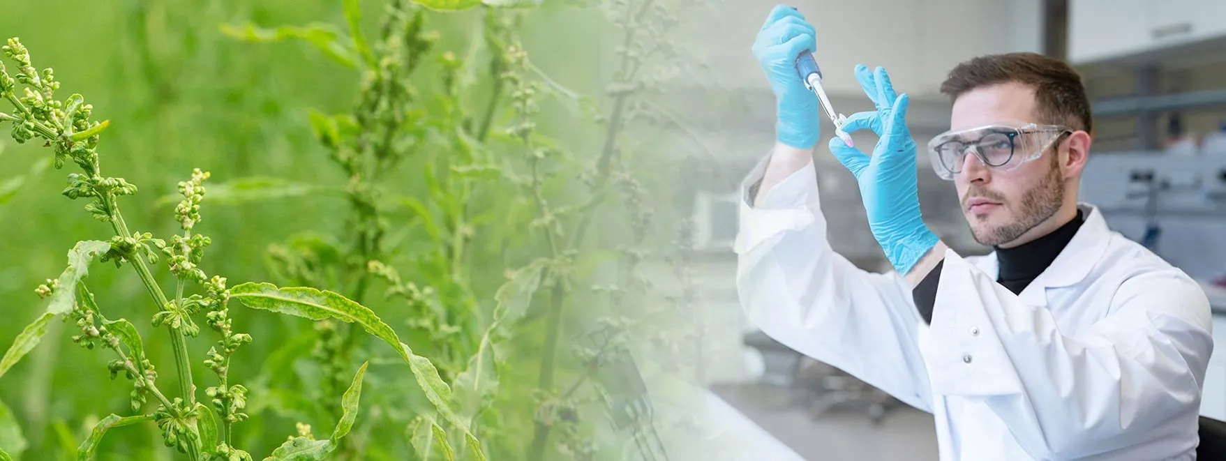 Wissenschaftler bei der Suche nach neuen Naturwirkstoffen