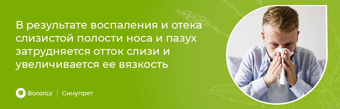 Почему возникает риносинусит?