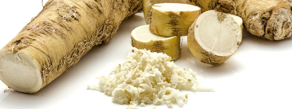 Meerrettich Nackenauflage