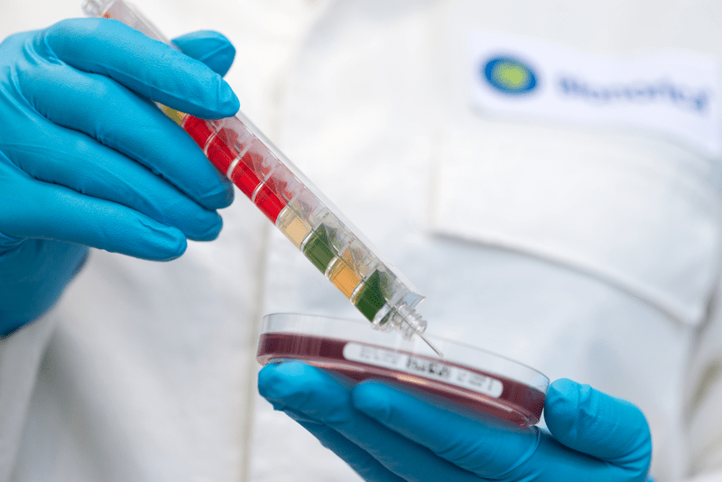 Mikrobiologie - Petrischale