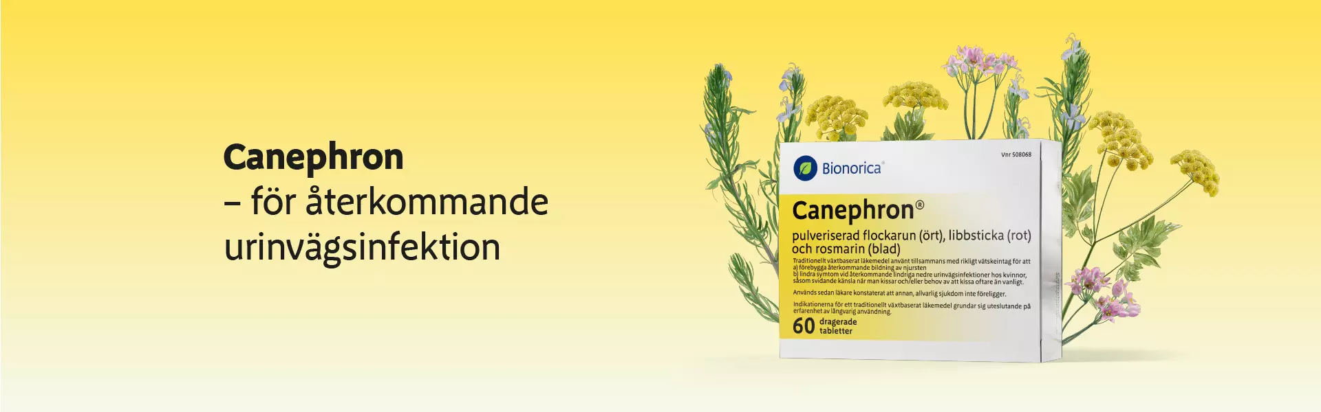 Canephron - för återkommande urinvägsinfektion