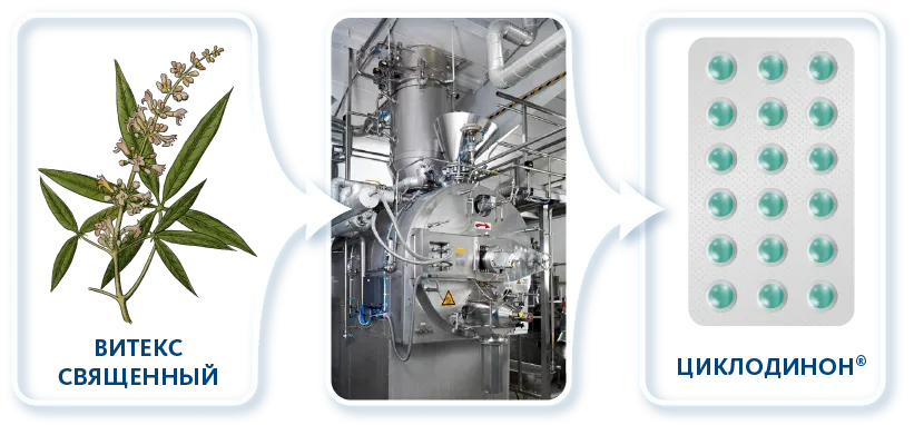 фитониринг