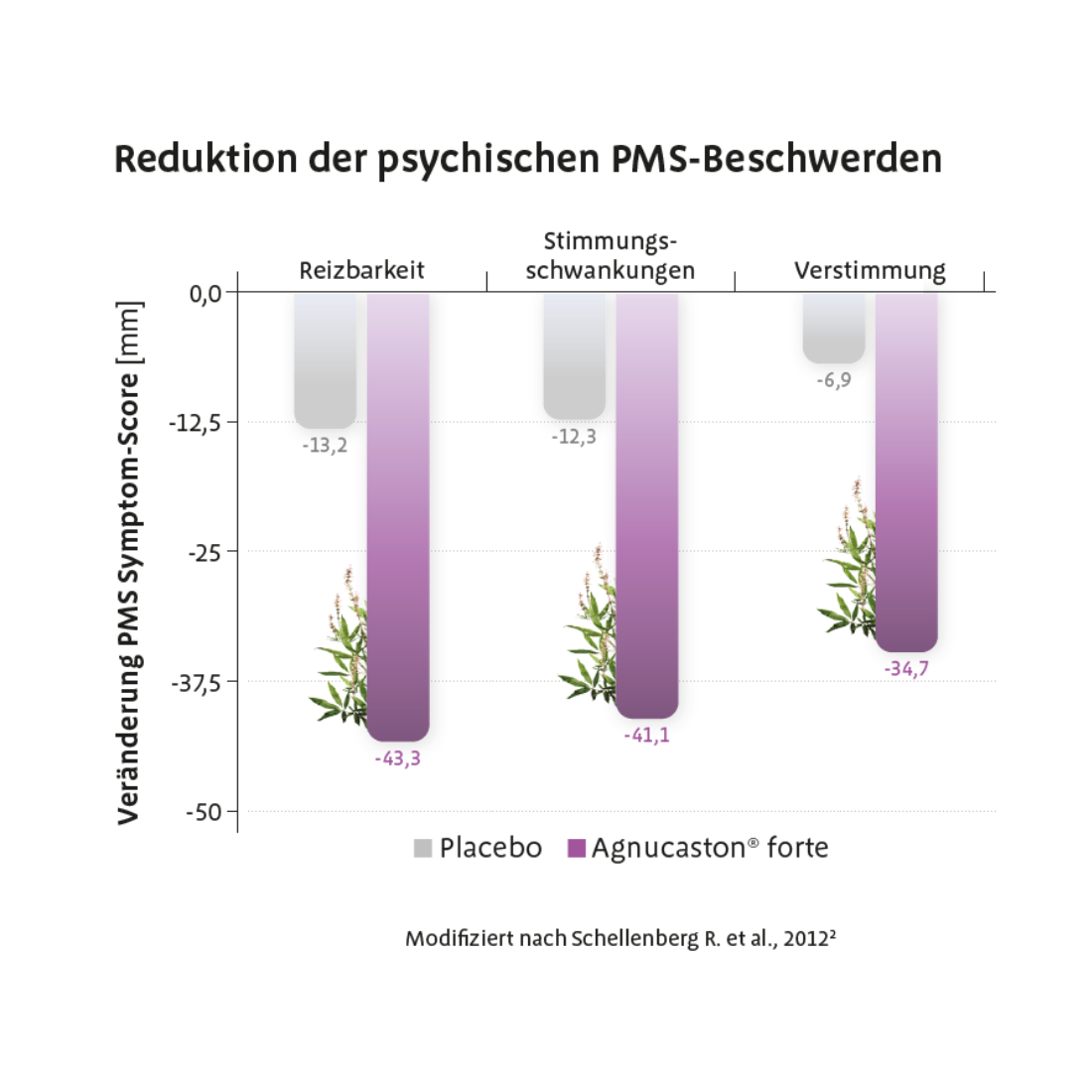 Reduktion PMS Beschwerden