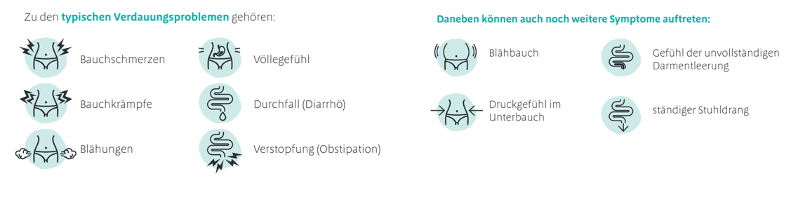 Grafik Verdauung Überblick. Verdauungsprobleme: Typische Symptome und Anzeichen