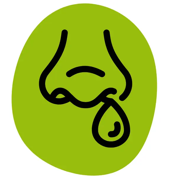 Icon Schnupfennase auf grünem Hintergrund