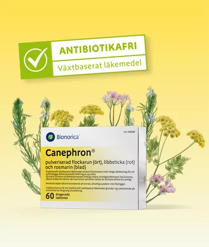 Canephron-v-anti