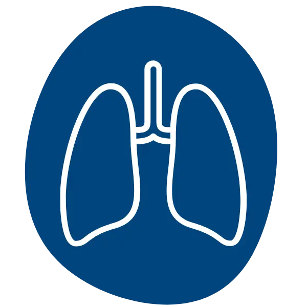 Grafik einer Lunge auf blauem Hintergrund