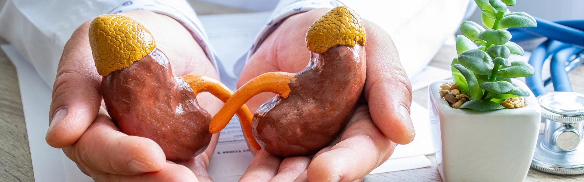 Urīnizvadsistēmas slimību ārstēšana un nierakmeņu slimības profilakse