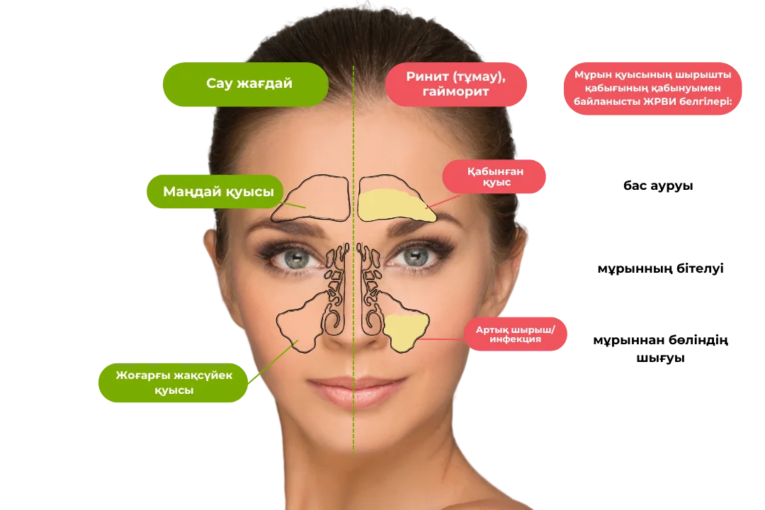 здоровое состояние и при болезни