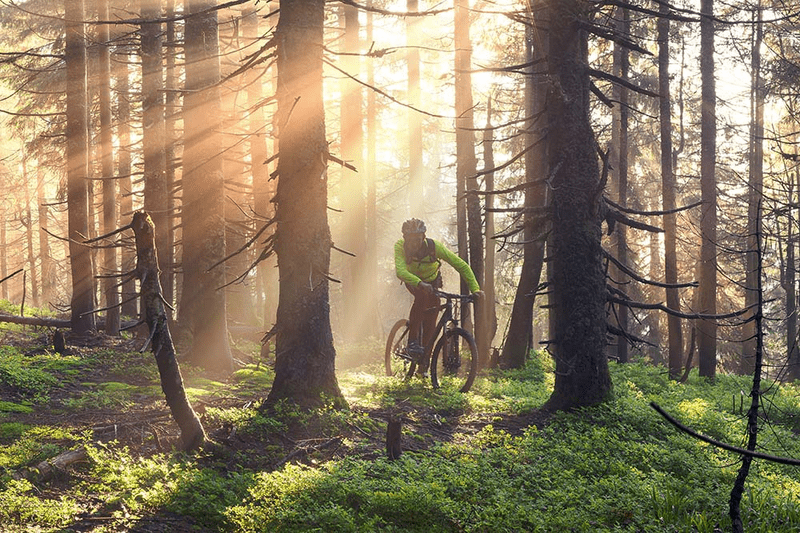 Fitness und Gesundheit