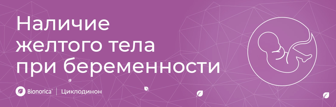 Наличие желтого тела при беременности