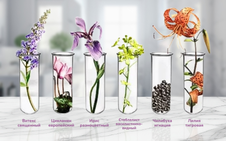 MAS_MD_compoziție-RU