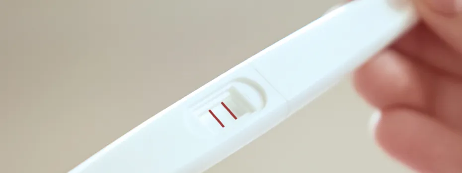 Wie entsteht eine Schwangerschaft?