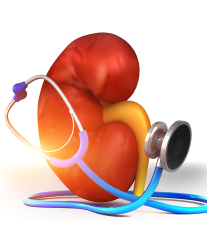 Kada reikėtų vartoti Canephron