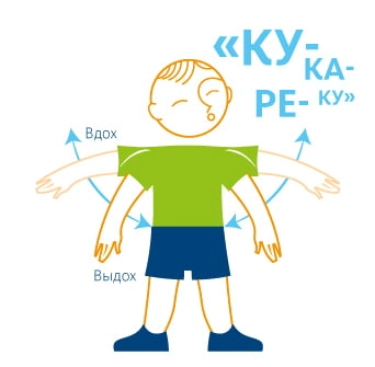 БРО гимнастика «Петух»