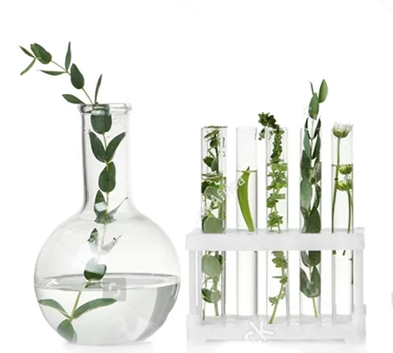 Результаты исследований 