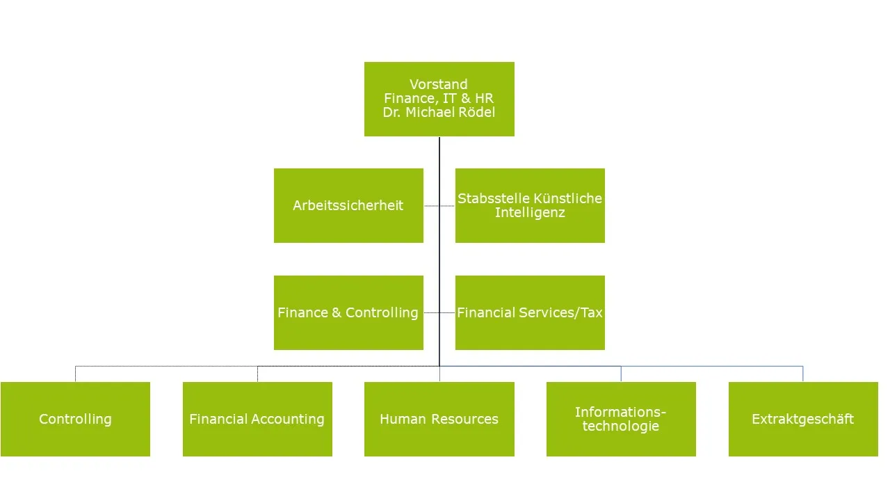 Organisationsstruktur Vorstand Finance