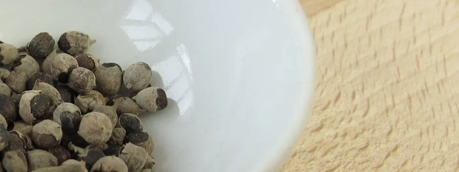 Витекс священный