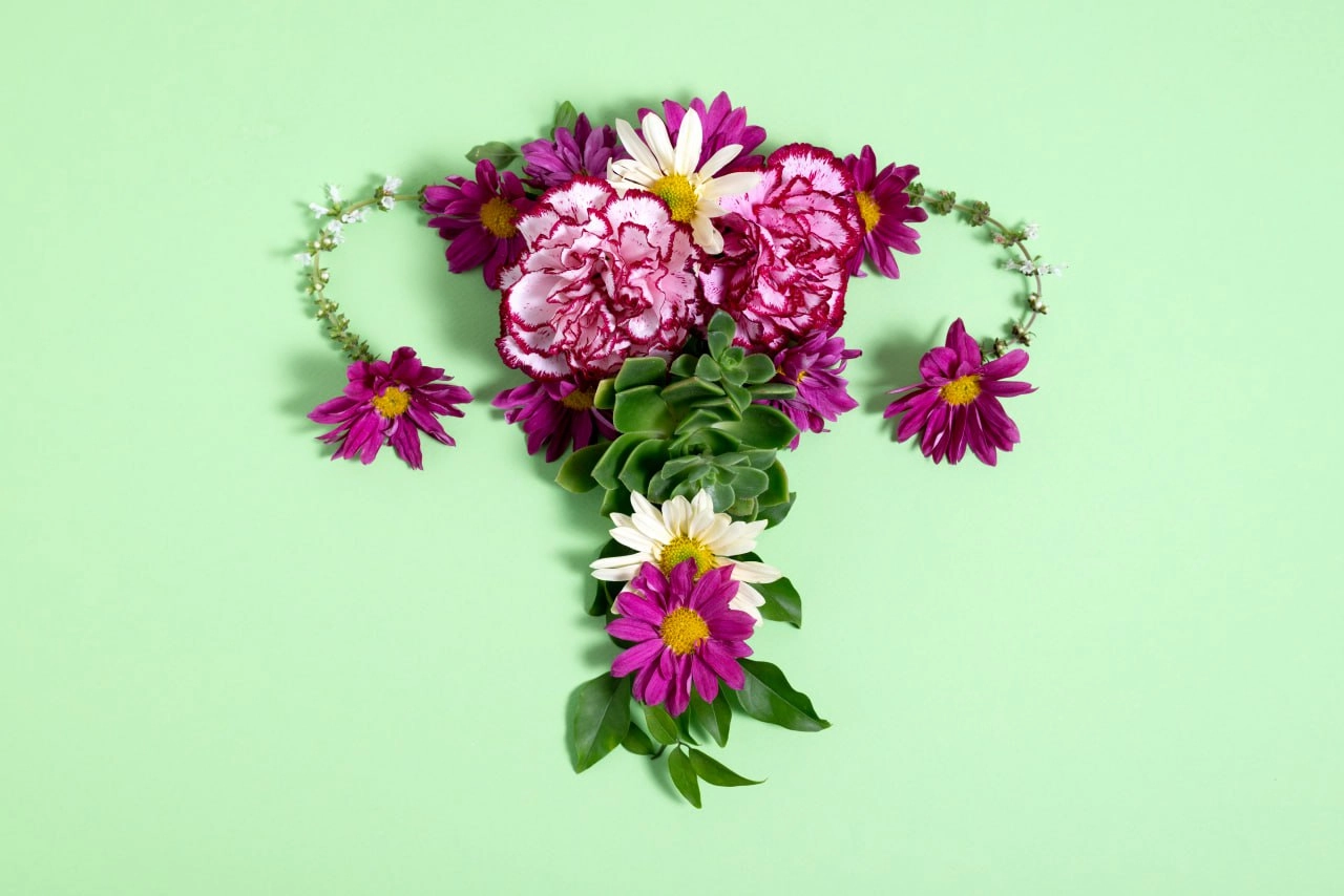 Фитоэстрогены