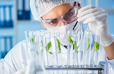 Фитониринг