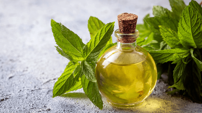 sticluță cu ulei de mentă și frunze de mentă