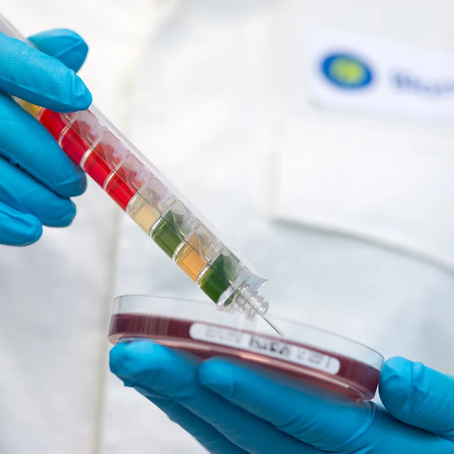 Compoziție Sinupret