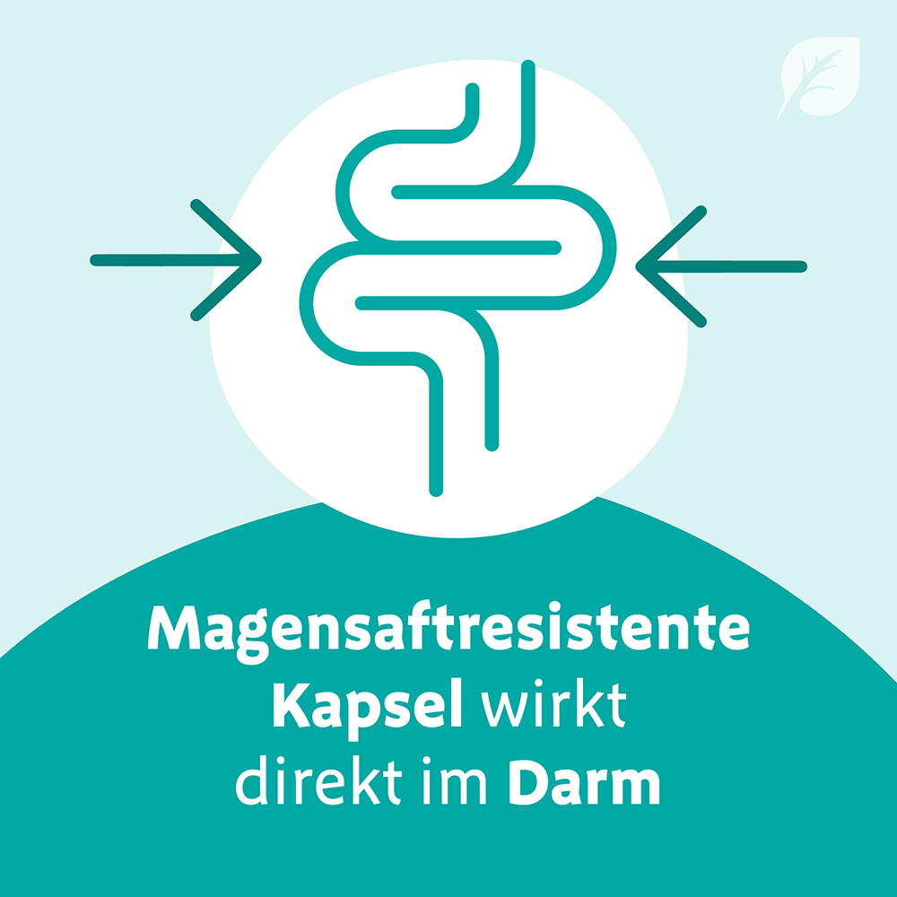 Digestopret® ist eine magensaftresistente Weichkapsel und wirkt dadurch direkt im Darm. 
