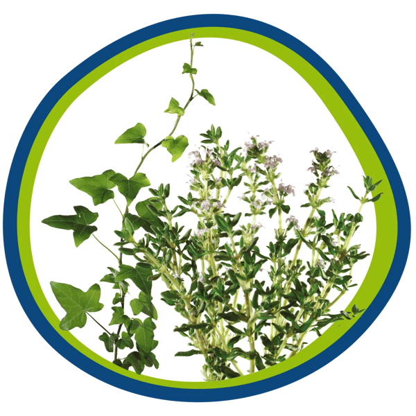 COMP SV-SE: BRO_DE_Webbplats_Timjan