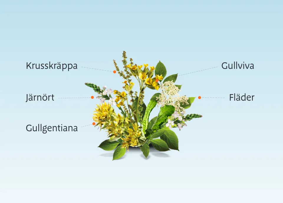 Unik-kombination-av-fem-medicinalvaxter