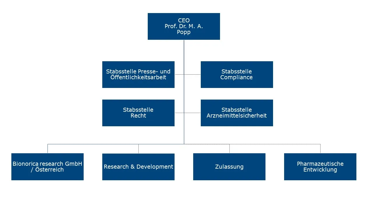 Organisationsstruktur Vorstandsvorsitz
