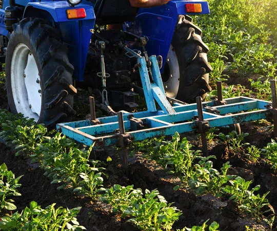 Växtbaserade läkemedel genom moderna vetenskapliga metoder